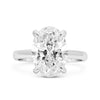 Rose | Oval Hidden Halo 14K White Gold Engagement Ring - Diamond Daughters, Front View