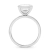 Brittanee | Bezel Emerald 14K White Gold Engagement Ring - Diamond Daughters, Top View