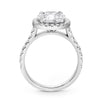 Stephanie | Oval Halo Accent Stone 14K White Gold Engagement Ring - Diamond Daughters, Top View