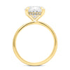 Rose | Oval Hidden Halo 14K Yellow Gold Engagement Ring - Diamond Daughters, Top View