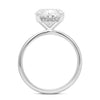 Rose | Oval Hidden Halo 14K White Gold Engagement Ring - Diamond Daughters, Top View