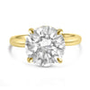 Agnes | Round Moissanite Engagement Ring - Diamond Daughters