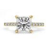 Ally |  Princess Moissanite 14k Yellow Gold Engagement Ring - Diamond Daughters, Front View