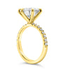 Ally | Round Moissanite 14k Yellow Gold Engagement Ring - Diamond Daughters, Top Side View