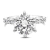 Ally | Round Moissanite 14k White Gold Engagement Ring - Diamond Daughters, Front View