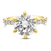 Ally | Round Moissanite 14k Yellow Gold Engagement Ring - Diamond Daughters, Front View