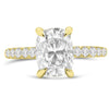 Andrea | Elongated Cushion Moissanite   14k Yellow Gold Engagement Ring - Diamond Daughters, Front View