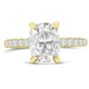 Andrea | Elongated Cushion Moissanite 14k Yellow Gold Engagement Ring - Diamond Daughters, Front View