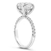 Andrea | Oval Moissanite Engagement Ring - Diamond Daughters