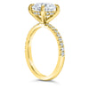 Angela | Round Moissanite  14k Yellow Gold Engagement Ring - Diamond Daughters, Top Side View