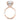 Anna | Elongated Cushion Hidden Halo Pave 14K Rose Gold Moissanite Engagement Ring - Diamond Daughters, Top View