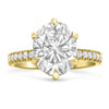 Henna | Oval Hidden Halo Moissanite  14k Yellow Gold Engagement Ring - Diamond Daughters, Front View