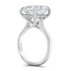 Nishika | Radiant Cut Cathedral Hidden Halo 14K White Gold Engagement Ring - Diamond Daughters, Top Side View