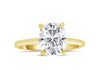 Rose | Elongated Cushion Moissanite  14k Yellow Gold Engagement Ring - Diamond Daughters, Front View