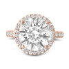 Round Halo Moissanite Engagement Ring - Diamond Daughters